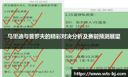 马里迪与普罗夫的精彩对决分析及赛前预测展望