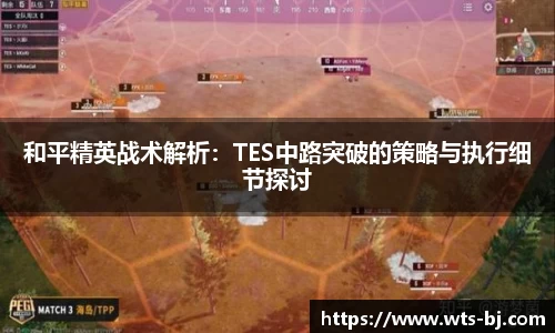 和平精英战术解析：TES中路突破的策略与执行细节探讨
